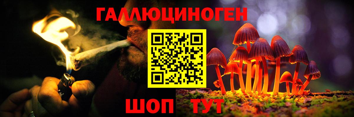 Россошь  Галлюциногенные грибы прущие грибы  Вход с VPN 